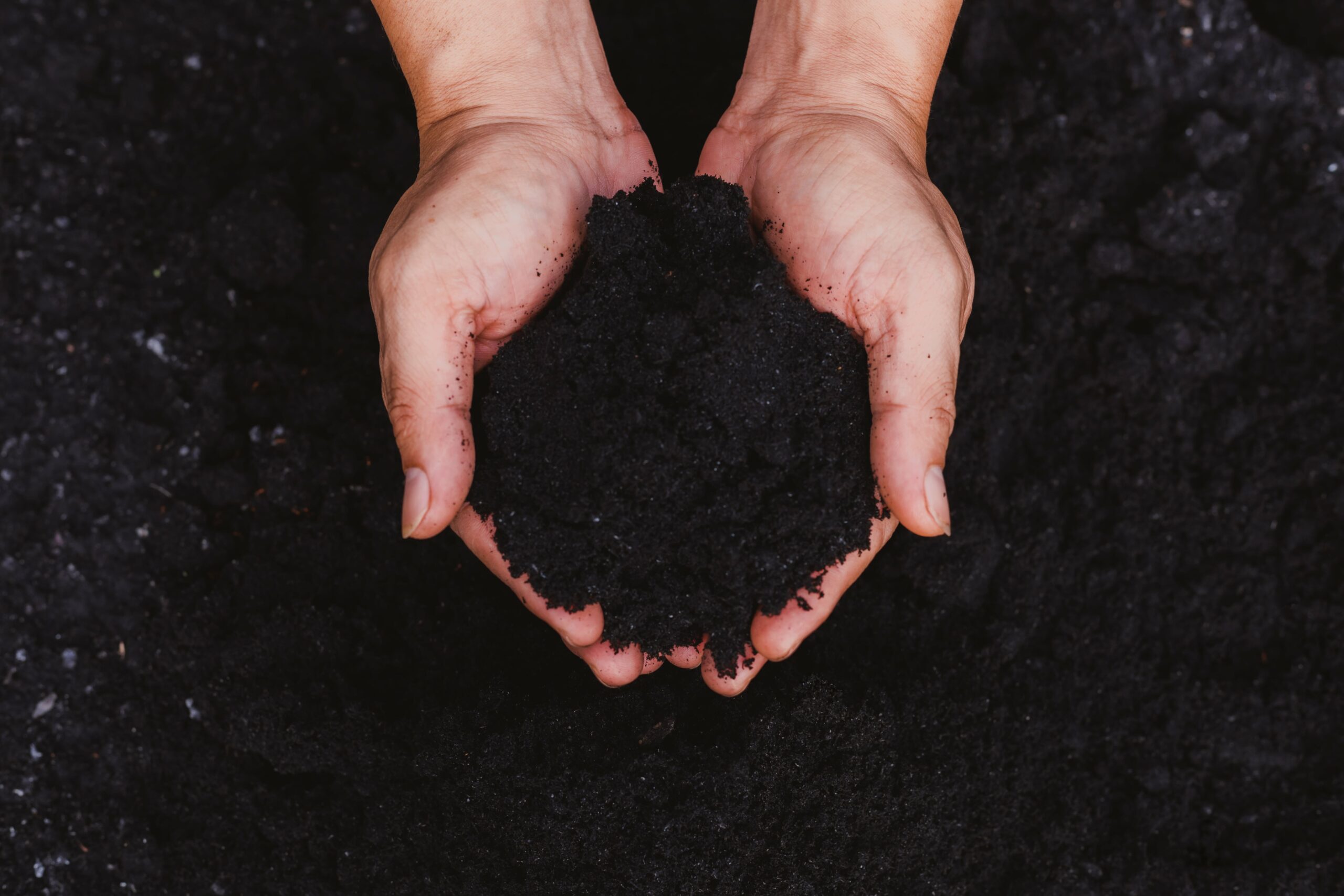 Lire la suite à propos de l’article A la découverte du compost, de la terre et du sol